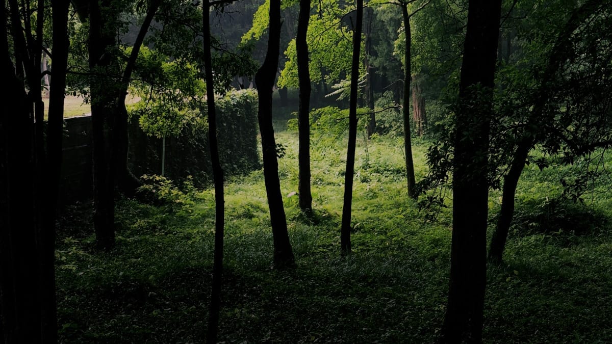 Convertir CO2 en una importante fuente de combustible