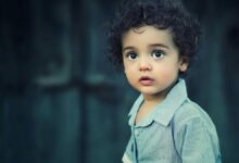 El lenguaje como capacidad humana