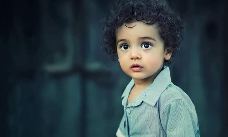 El lenguaje como capacidad humana