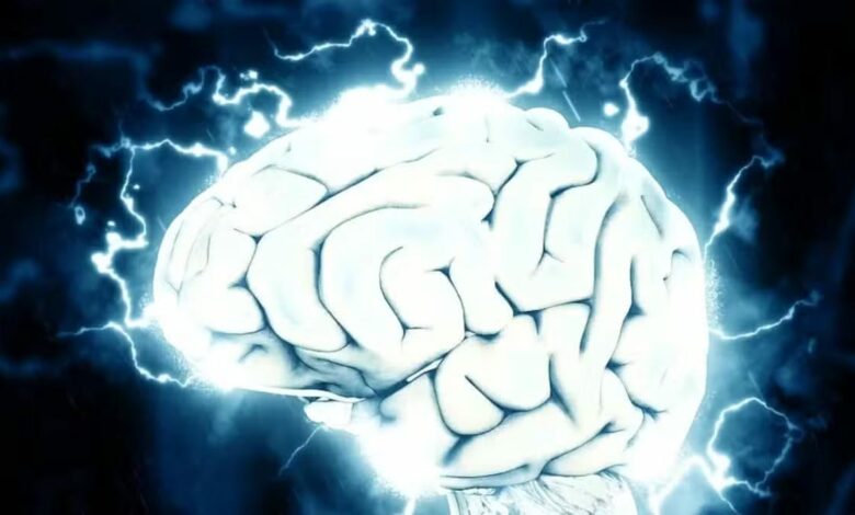 Investigación que consideraba el cerebro como una red similar a Internet