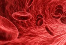 Sangre venosa o arterial