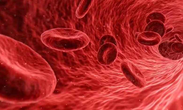 Sangre venosa o arterial