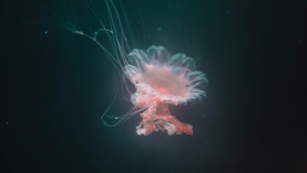 Científicos dicen que se podrán almacenar datos digitales en el ADN