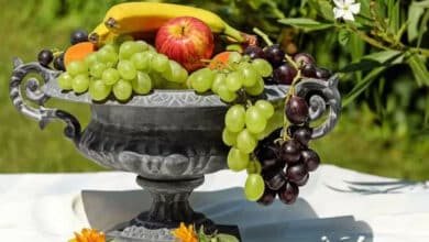 Comer fruta con el estómago vacío es muy bueno