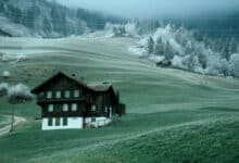 Cómo conseguir fotografías gratis y compartirlas