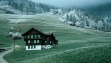 Cómo conseguir fotografías gratis y compartirlas