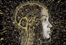 Los recuerdos se almacenan en el cerebro según como se hayan aprendido