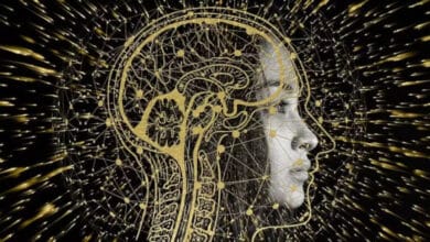 Los recuerdos se almacenan en el cerebro según como se hayan aprendido