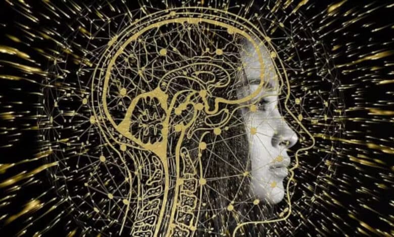 Los recuerdos se almacenan en el cerebro según como se hayan aprendido