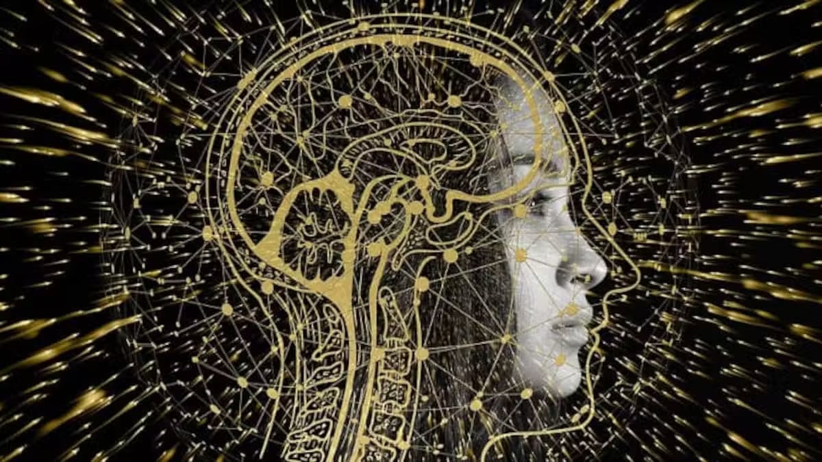 Los recuerdos se almacenan en el cerebro según como se hayan aprendido