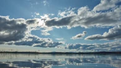 Utilizar Meteored para examinar las predicciones del tiempo