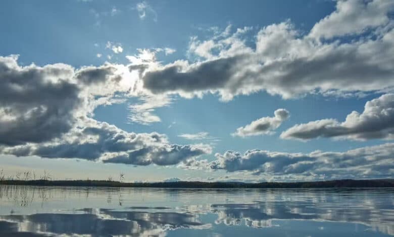 Utilizar Meteored para examinar las predicciones del tiempo