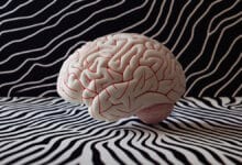 Aerosol nasal para vencer el envejecimiento cerebral