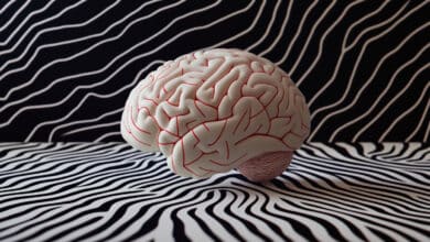 Aerosol nasal para vencer el envejecimiento cerebral