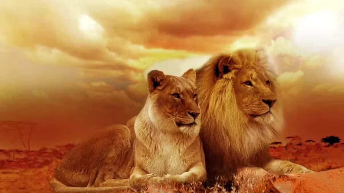 Diferencias entre los seres vivos y los inertes