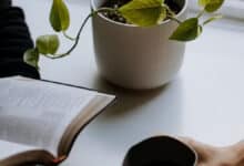 Disfrutar leyendo y escribiendo: las historias viven