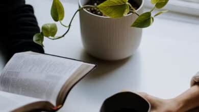 Disfrutar leyendo y escribiendo: las historias viven