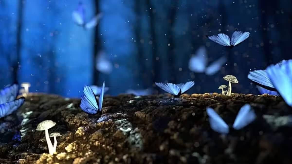 El tiempo que pasamos durmiendo y nuestra vida