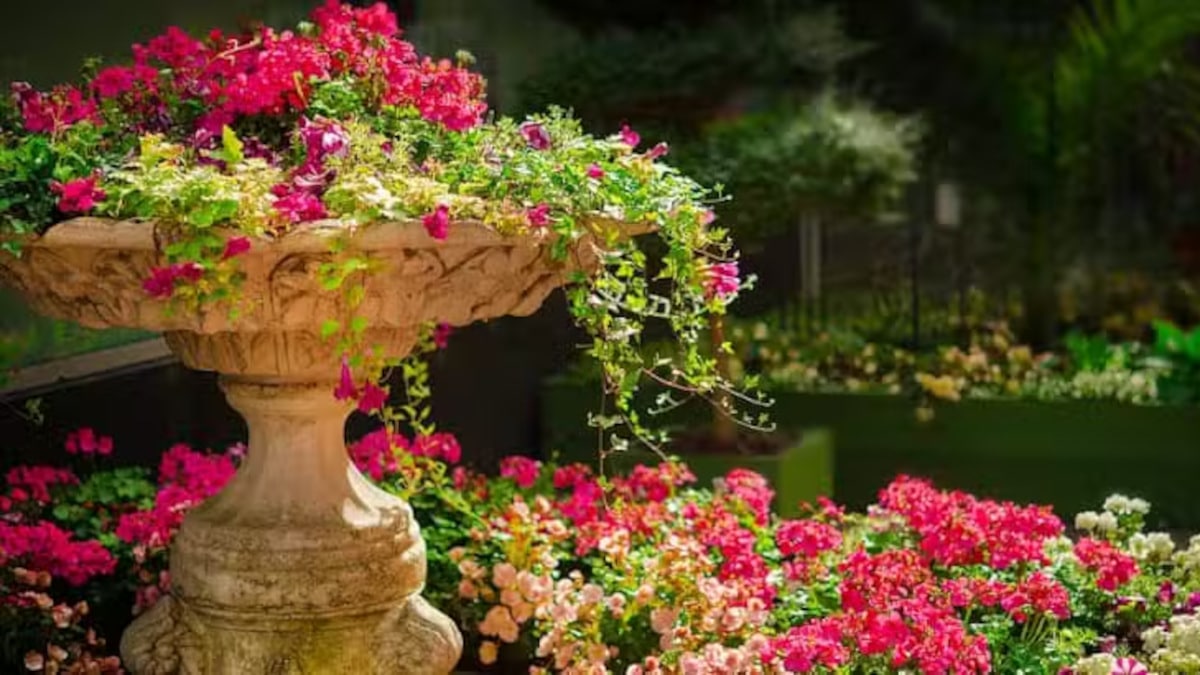 Juego para colorear y dar vida a la imaginación