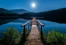 Utiliza tu móvil para mejorar tu salud y felicidad