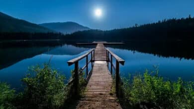 Utiliza tu móvil para mejorar tu salud y felicidad