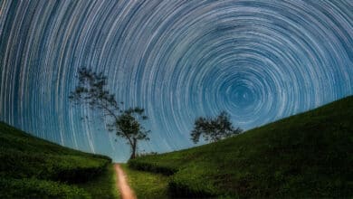 Utilizar un sencillo reproductor de vídeo en un ordenador con Windows