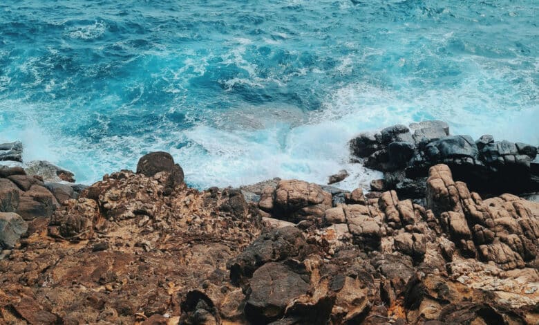 Cuál es el ciclo del agua