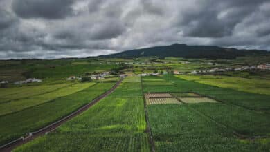El paso del campo a la ciudad