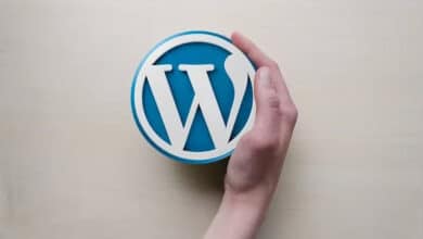 Qué hacer para optimizar la carga de las páginas web en WordPress