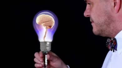 ¿Son el cerebro y la mente lo mismo?