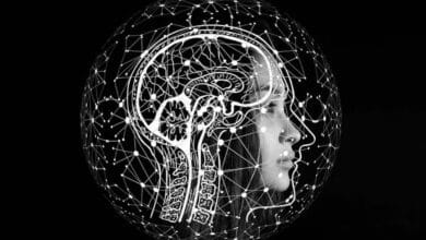 Utilizar juegos en dispositivos móviles para reforzar el cerebro