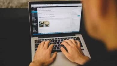 Cómo insertar códigos cortos en los posts de WordPress