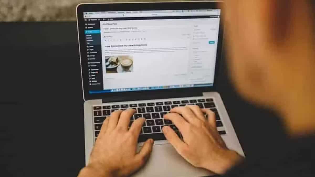 Cómo insertar códigos cortos en los posts de WordPress