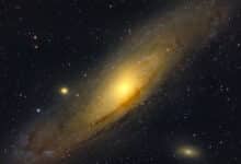 Cuántas formas de vida hay en el Universo