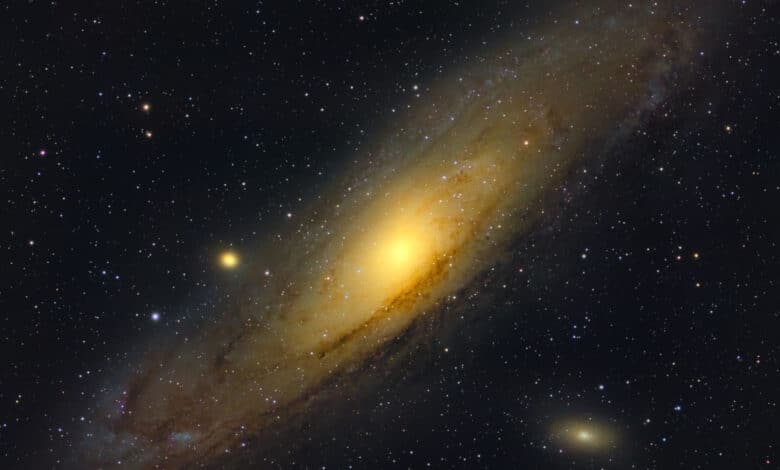 Cuántas formas de vida hay en el Universo