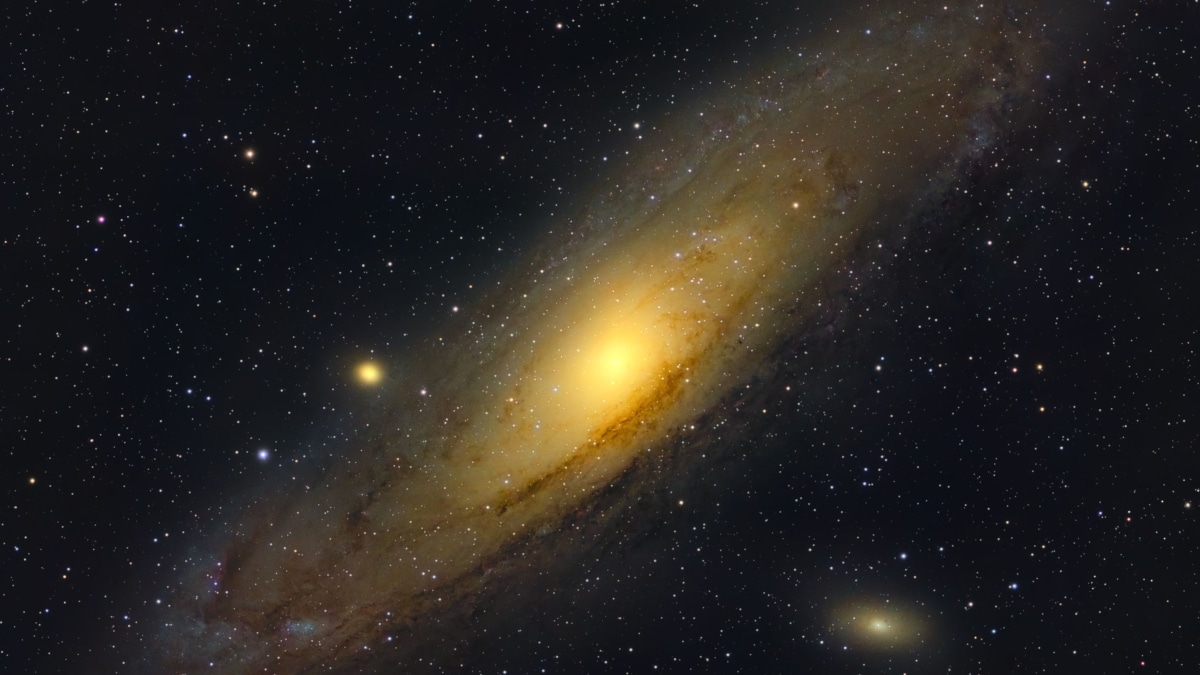 Cuántas formas de vida hay en el Universo