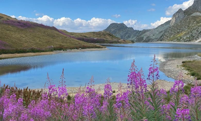 Cómo crear panorámicas a partir de fotos individuales