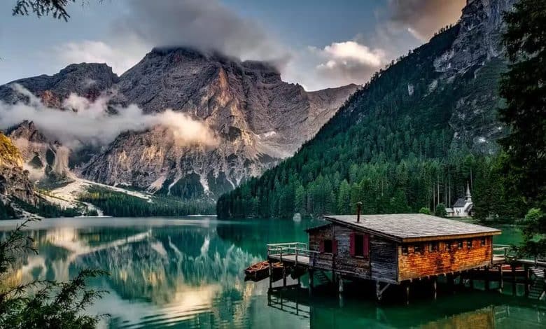 Editar fotos y vídeos online con Adobe Express